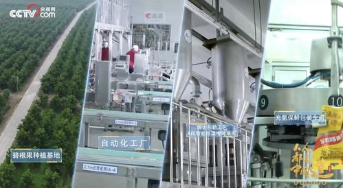 洽洽入选品牌信用建设典型案例，信息技术服务助推民族品牌发展