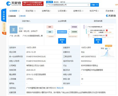 洪锋卸任广州小米信息服务法人及经理，计算机信息技术咨询服务领域引关注