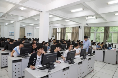 计算机信息技术咨询服务 构建数字化社会服务的核心力量